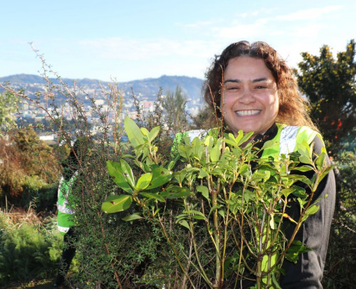 Te Tumu Paeroa volunteer to plant trees