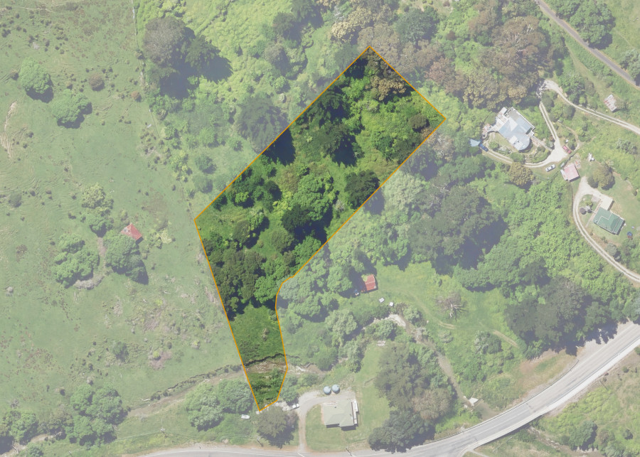 Land lot for Tuatini Maori Township Section 5 Block IX Pt Green