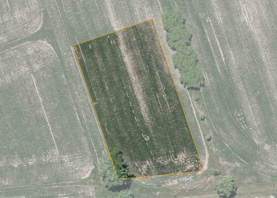 Land lot for Wharepu 1L