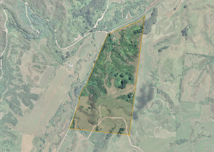 Land lot for Ruatoki C7