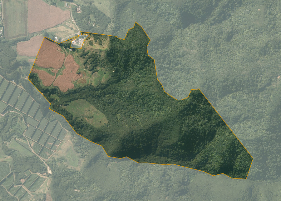 Land lot for Te Kaha 88