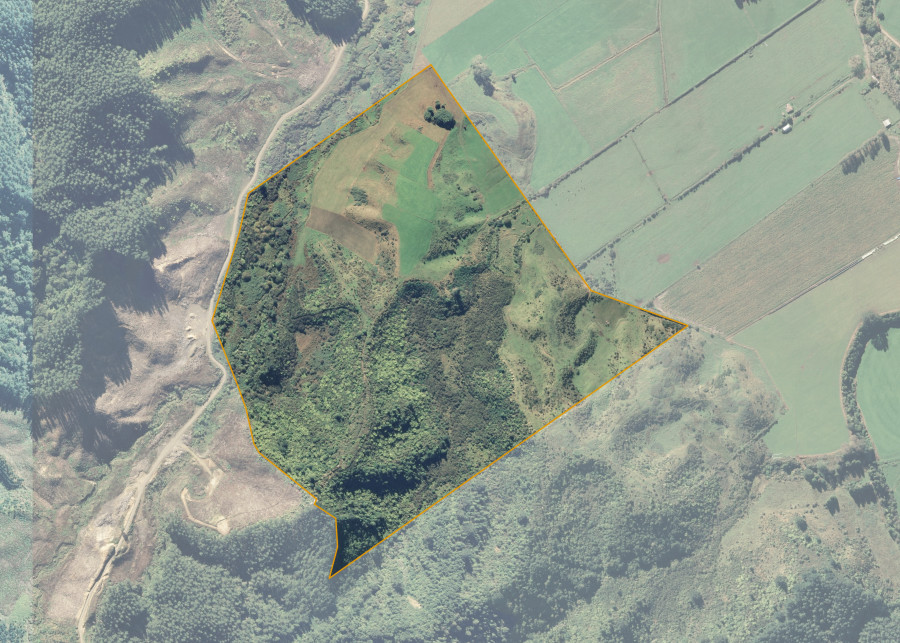 Land lot for Ruatoki B83
