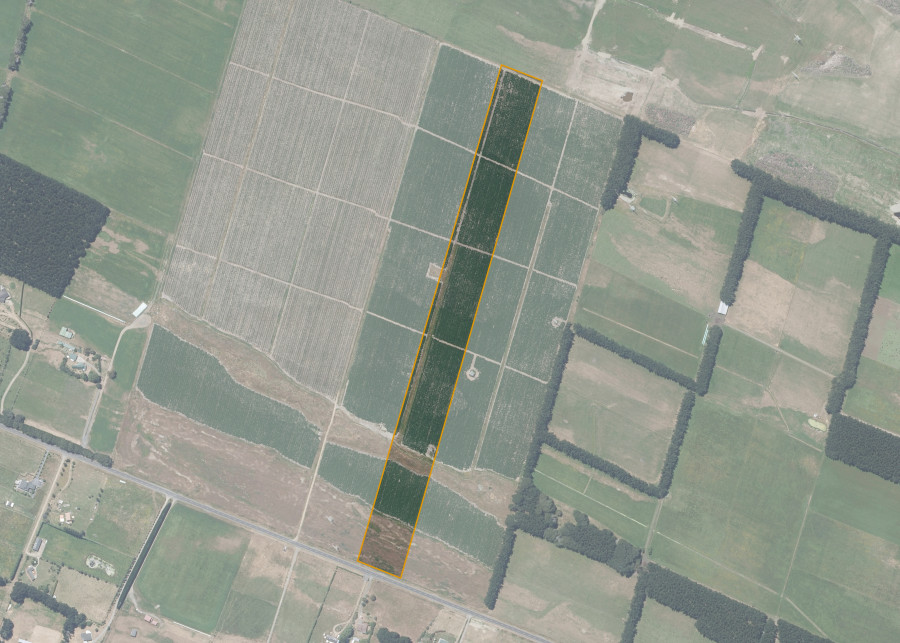 Land lot for Himatangi 5A 5C 2B