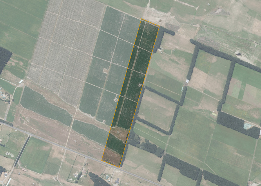 Land lot for Himatangi 5A 5C1 (Himatangi 5 Trust)