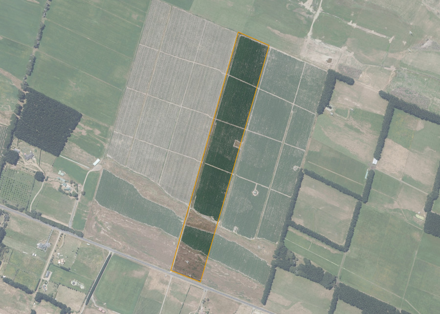 Land lot for Himatangi 5A5C2C
